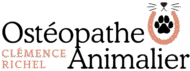 Clémence Richel | Ostéopathe Animalier
